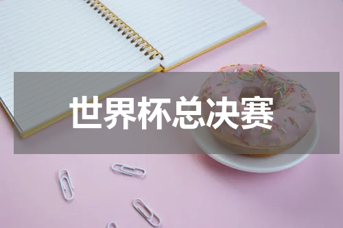世界杯总决赛