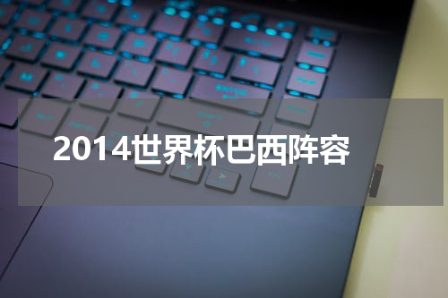 2014世界杯巴西阵容