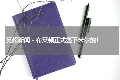 英超新闻 - 布莱顿正式签下米尔纳！