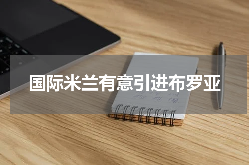 国际米兰有意引进布罗亚