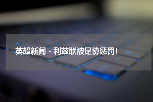 英超新闻 - 利兹联被足协惩罚！