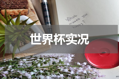 世界杯实况
