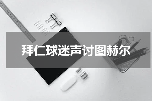 拜仁球迷声讨图赫尔