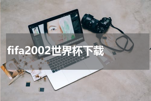 fifa2002世界杯下载