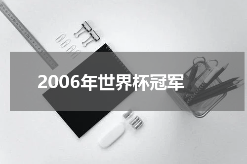 2006年世界杯冠军
