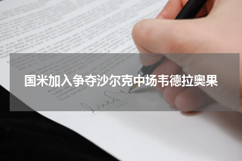 国米加入争夺沙尔克中场韦德拉奥果