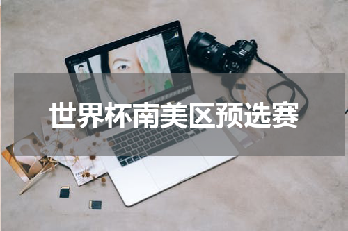 世界杯南美区预选赛