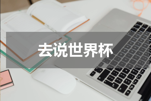 去说世界杯